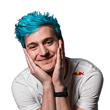 Ninja profile