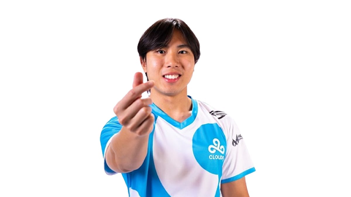 v1c professional player portrait