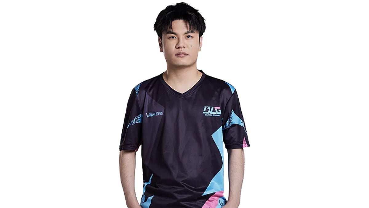 whzy professional player portrait