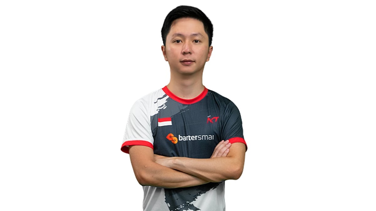 xccurate professional player portrait